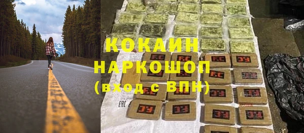 кокс Алексин