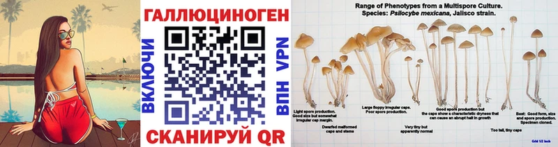 купить   Новоуральск  Псилоцибиновые грибы мухоморы 
